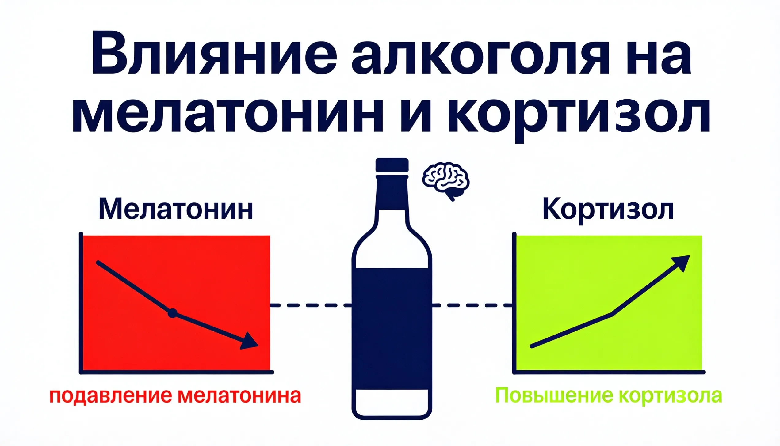 Подавление мелатонина после употребления алкоголя