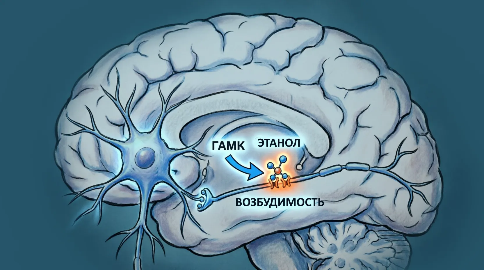 Почему возникает белая горячка